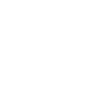 ProClip