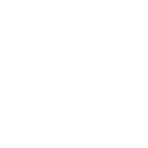 Franklin Wireless